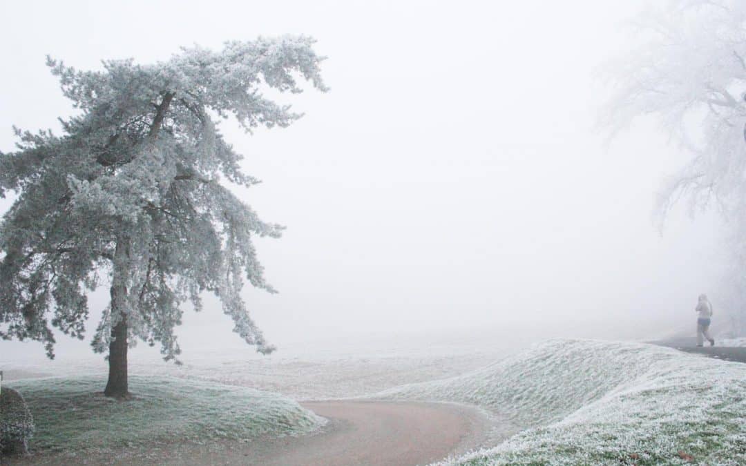 PRÉCAUTIONS HIVER