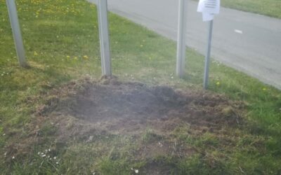 Plantations participatives