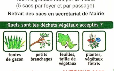 #Collecte des déchets verts, rappel :Voici les prochaines dates :Les lundis matin 8 et 29 septembre et 20 octobreMerci de vous inscrire et venir chercher les sacs en mairie (0344499259).5 sacs par foyer et par passage.Si vous n’êtes pas inscrit, vos sacs ne seront pas collectés.Les sacs qui ne sont pas donnés par la mairie ou contenant de la terre ou des gravats ne seront pas collectés non plus. Merci pour votre compréhension.