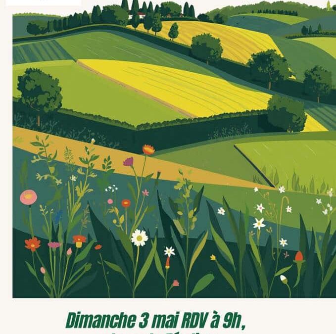 Une petite balade ça vous tente ? Un moment pour partager et découvrir. Rendez-vous dimanche 3 mai à 9h