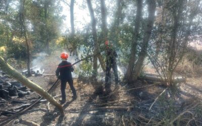 Merci aux sapeurs pompiers pour leur réactivité et leur courage lors du feu de chaume du 25 juin