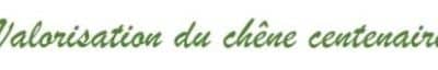 Appel à projet artistique et créatif pour la valorisation du chêne centenaire de Montjavoult à l’entrée du chemin du cimetière rue de la mairie.