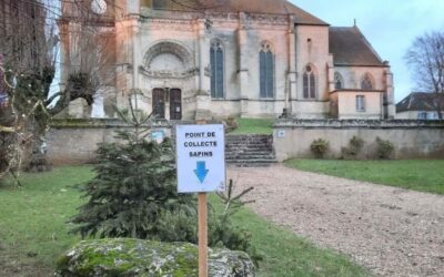 Le service municipal de collecte des sapins tout au long du mois de janvier :Vous pouvez déposer vos sapins aux points de collecte signalés par un panneau dans chaque hameaux.
