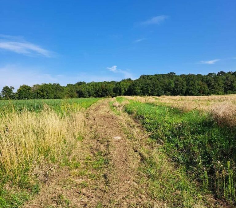 CHEMIN COMMUNAL : Depuis jeudi matin, le chemin du Marais est enfin complètement ouvert à la balade, il aboutit sur la D6 et en prenant la route vers la gauche (vers Parnes), à  une centaine de mètres sur la gauche, on retrouve le chemin qui remonte vers Montjavoult. L’agent communal a mis le coup de débroussailleuse qui a permis de sortir du gros roncier final. Merci à tous ceux qui ont travaillé à cette réalisation dont les jeunes de l’Atelier de Proximité début août !