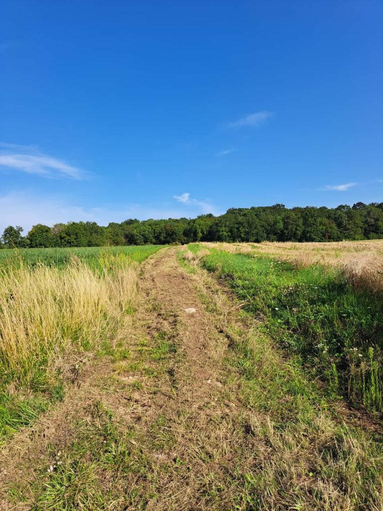 CHEMIN COMMUNAL : Depuis jeudi matin, le chemin du Marais est enfin complètement ouvert à la balade, il aboutit sur la D6 et en prenant la route vers la gauche (vers Parnes), à  une centaine de mètres sur la gauche, on retrouve le chemin qui remonte vers Montjavoult. L’agent communal a mis le coup de débroussailleuse qui a permis de sortir du gros roncier final. Merci à tous ceux qui ont travaillé à cette réalisation dont les jeunes de l’Atelier de Proximité début août !