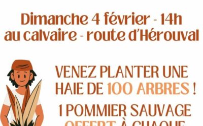 J-5 pour notre grand rendez-vous de Plantation Communale Participative :