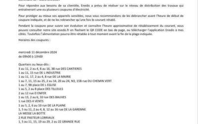 ⚠️COUPURES DE COURANT⚠️ce MERCREDI 11 DECEMBRE 2024sur l’ensemble du village.Merci pour votre compréhension.