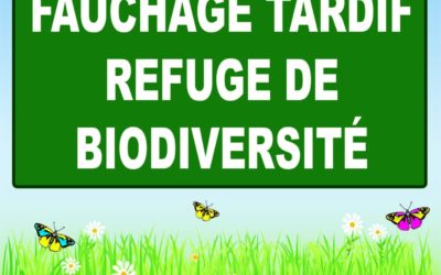 Entretien printanier